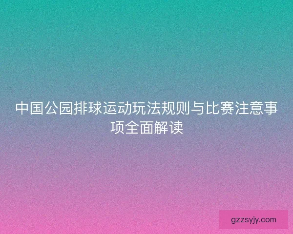中国公园排球运动玩法规则与比赛注意事项全面解读